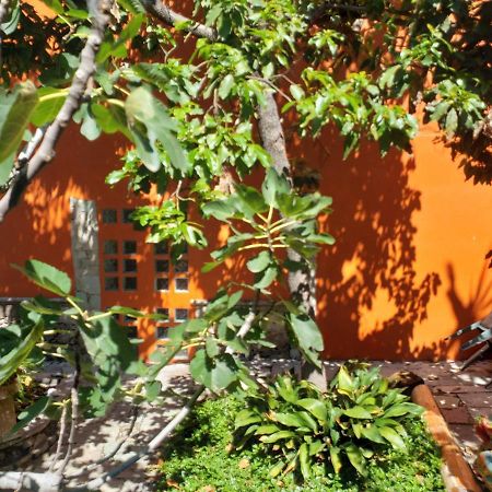 Appartement Ex Hacienda à Guanajuato Extérieur photo
